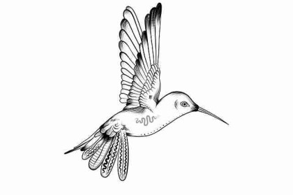 私密泄露：蘑菇视频主播直播事故，争议仍在扩大