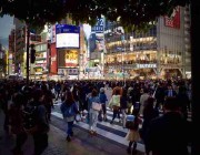 黑料网评论区：群众眼中的真相