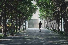 海角官网平台功能全解析 - 流行趋势预测，海角鹡鸰