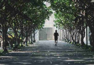 海角官网平台功能全解析 - 流行趋势预测，海角鹡鸰