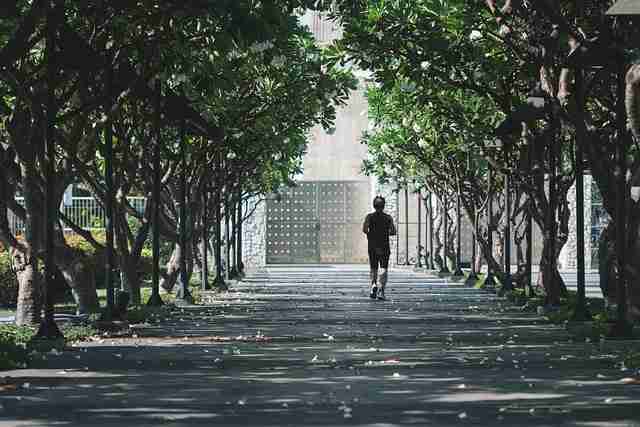 海角官网平台功能全解析 - 流行趋势预测，海角鹡鸰